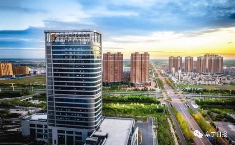 行业动态：阜宁荣源贸易在市场中的表现与策略