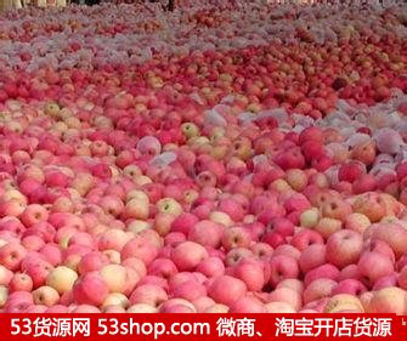 盐城进出口贸易：助力经济发展的桥梁